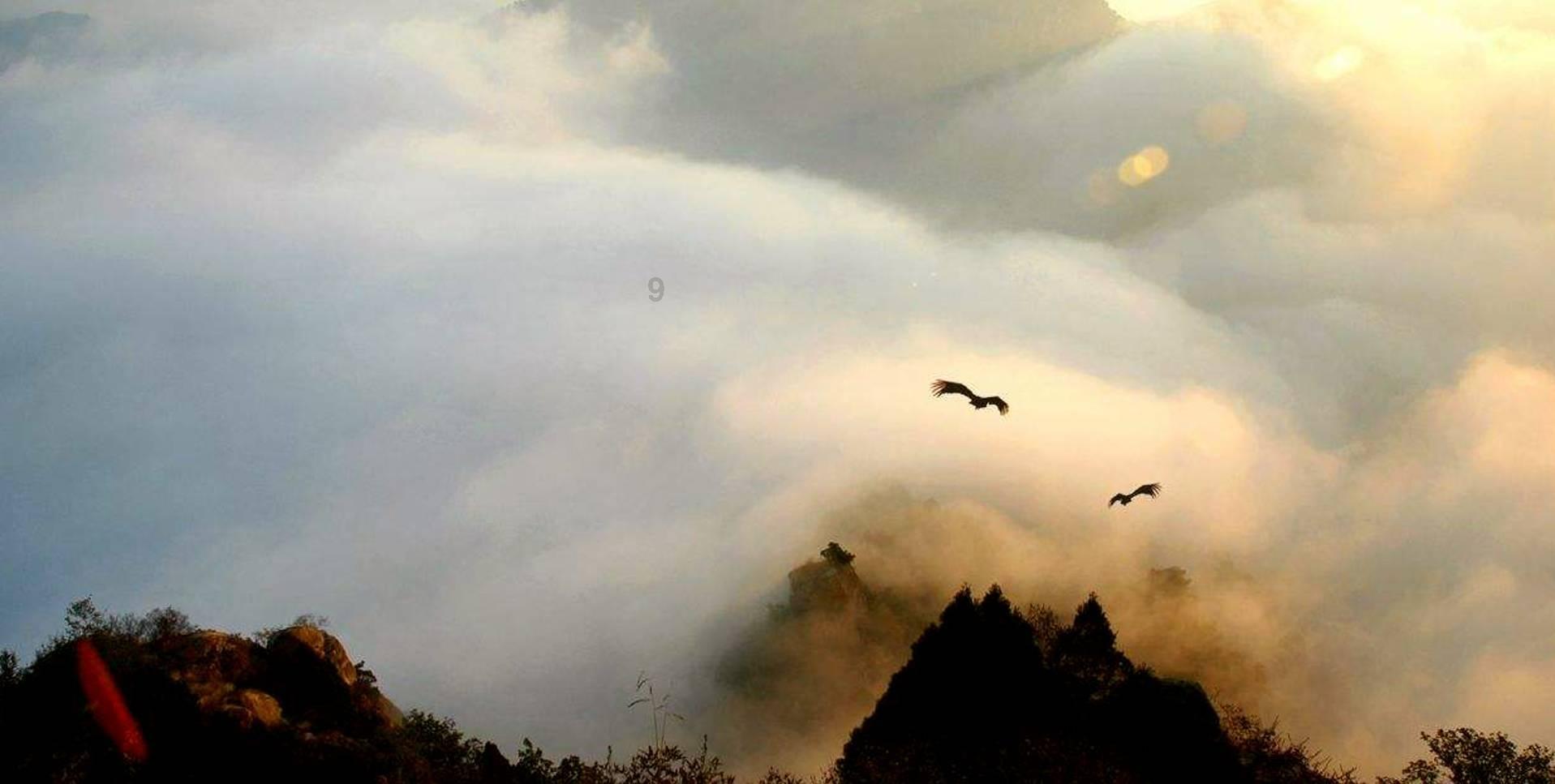 空中抛枪无敌版